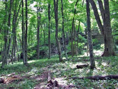 Прикрепленное изображение: DSCF8466.jpg